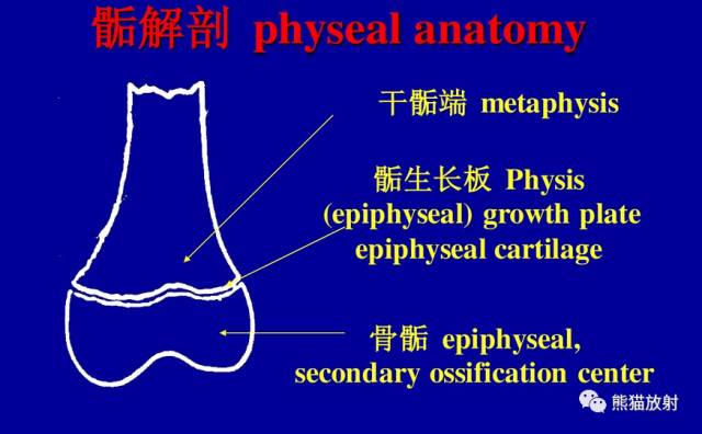 骨骺损伤的分型及影像表现-1