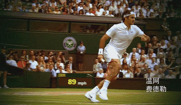 【PPT】股四头肌肌腱断裂-14