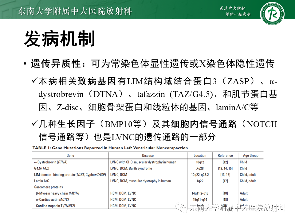 【PPT】心肌致密化不全-36