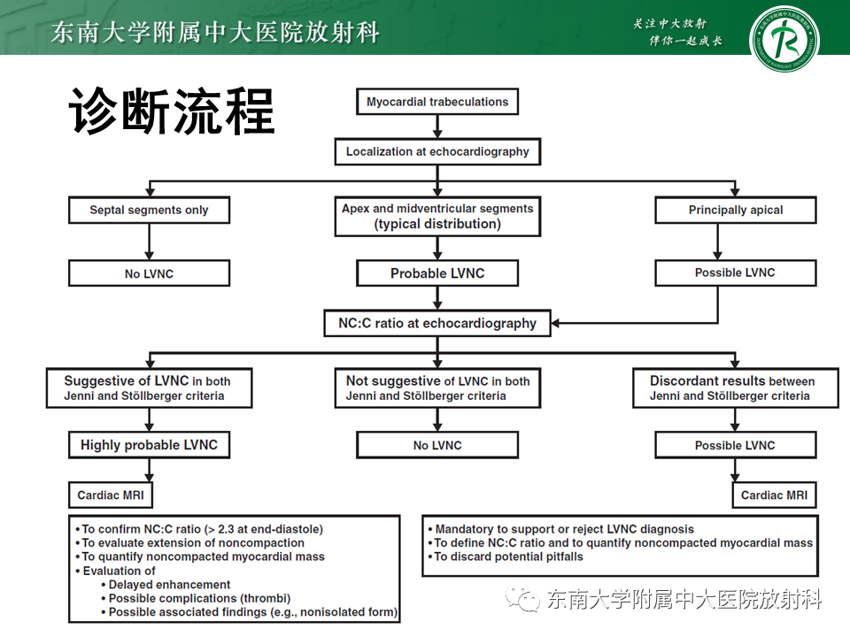 【PPT】心肌致密化不全-51