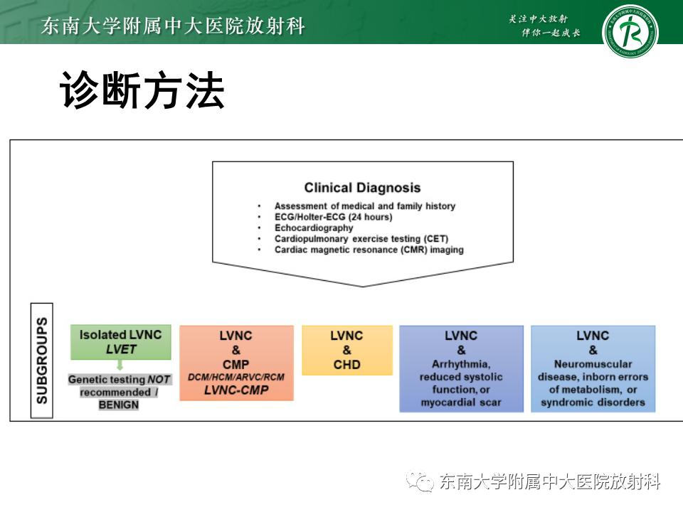 【PPT】心肌致密化不全-52