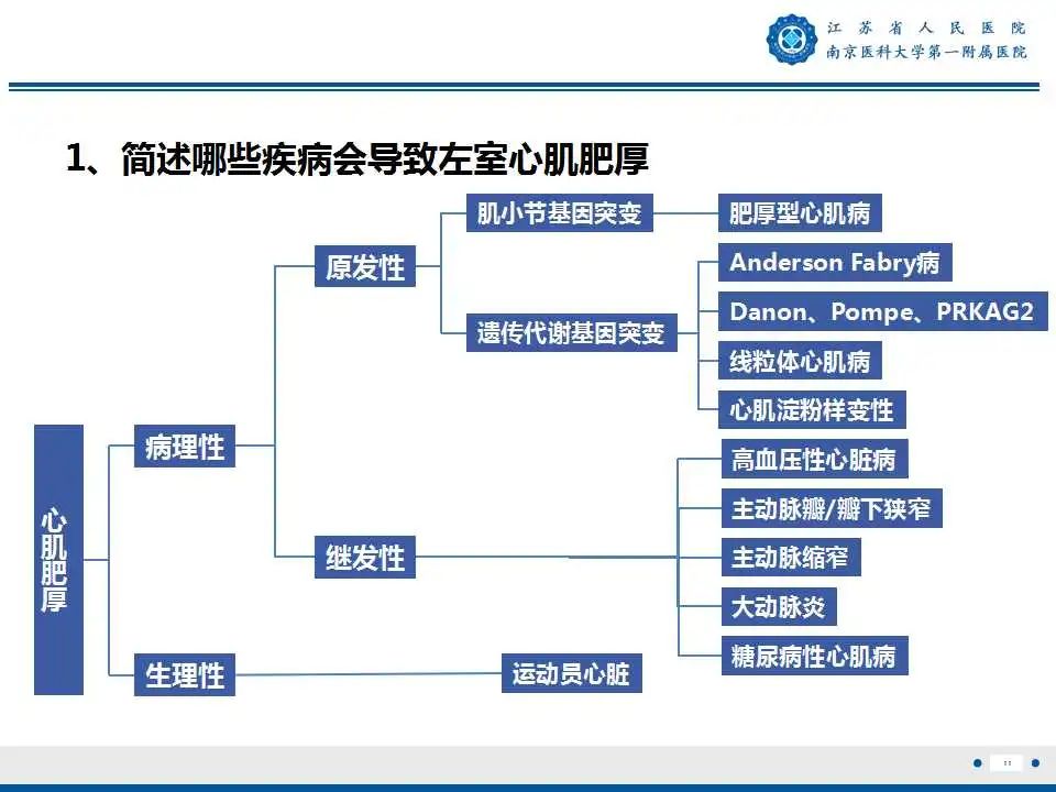 【PPT】心肌淀粉样变-12