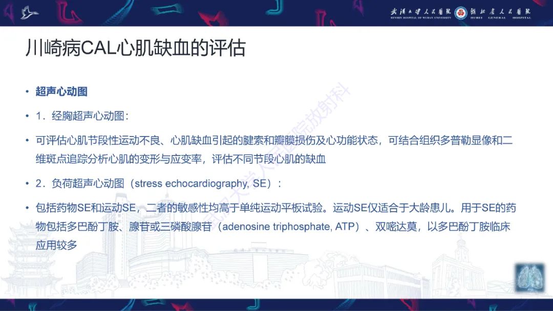 【PPT】川崎病冠状动脉病变影像诊断-19