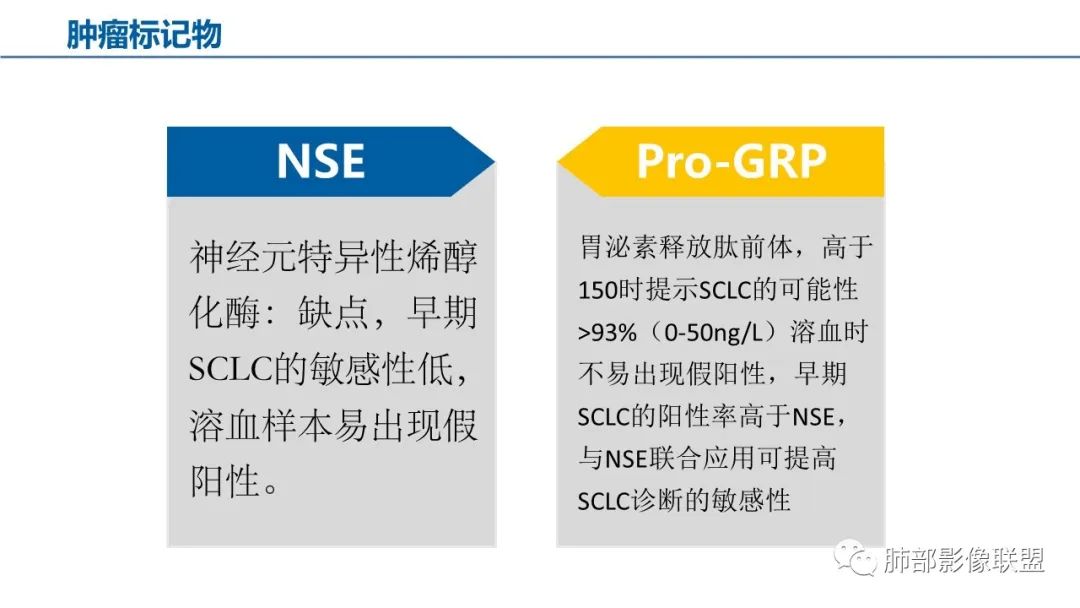 【病例】小细胞肺癌？套细胞淋巴瘤？-25