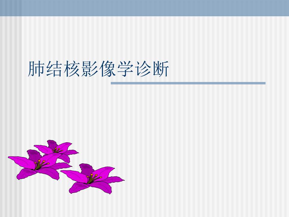 【PPT】肺结核的影像学诊断