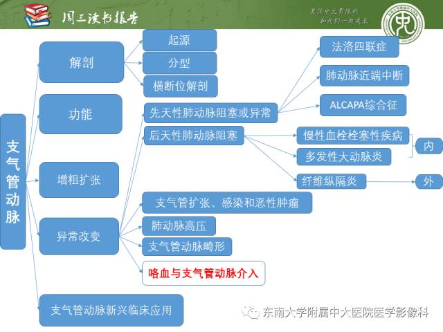 【PPT】支气管动脉：解剖、功能及增粗和异常改变