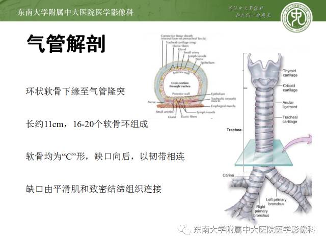 【病例】气管肿瘤2例CT影像诊断