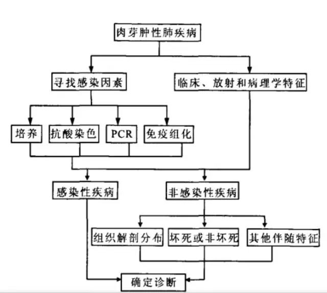 【病例】肺异物性肉芽肿1例CT影像表现