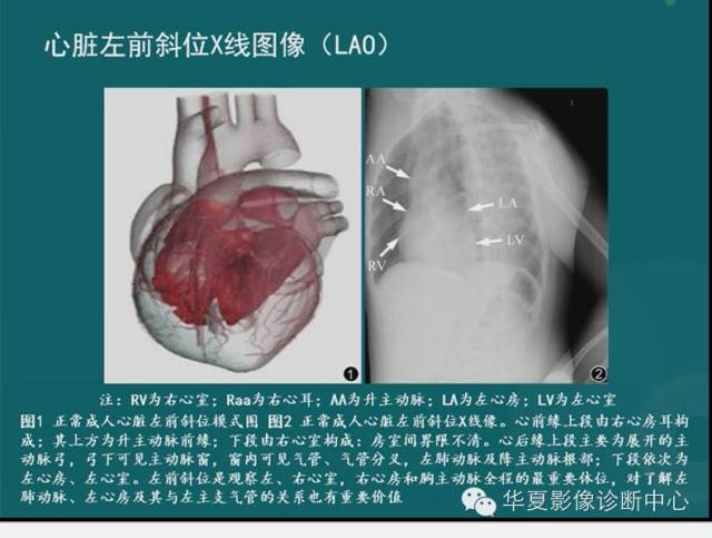 【PPT】MRI原理及脉冲序列的部分问题