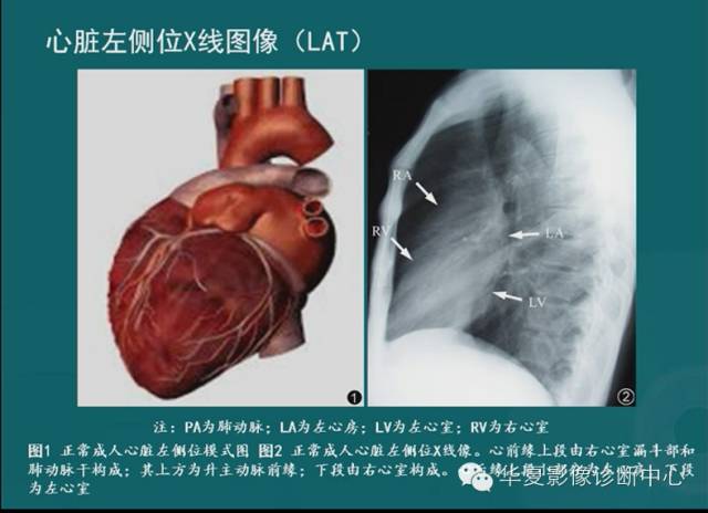 【PPT】MRI原理及脉冲序列的部分问题