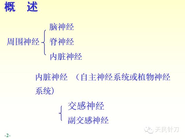 【PPT】脊神经解剖