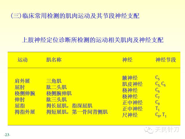 【PPT】脊神经解剖