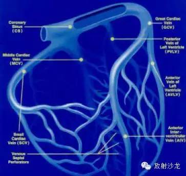心脏冠状动脉CT解剖中文详细标注