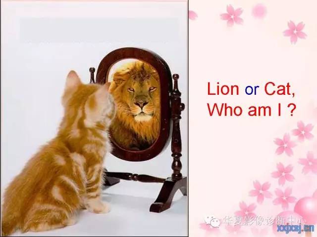 【PPT】乳腺MRI对直径1厘米左右小结节灶良恶性的界定作用