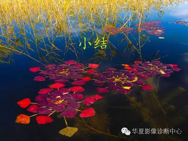 【PPT】乳腺MRI对直径1厘米左右小结节灶良恶性的界定作用