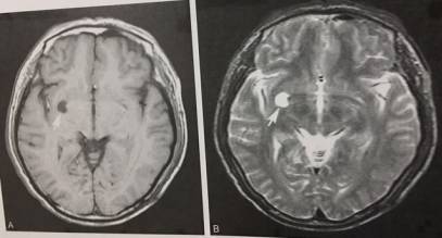 这些片子里的结构，你都认识吗？
