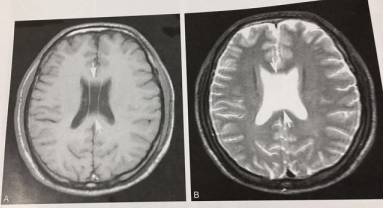 这些片子里的结构，你都认识吗？