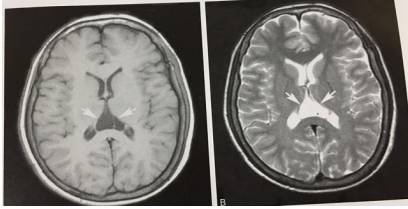 这些片子里的结构，你都认识吗？