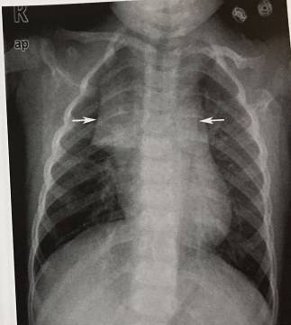 这些片子里的结构，你都认识吗？