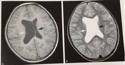 这些片子里的结构，你都认识吗？