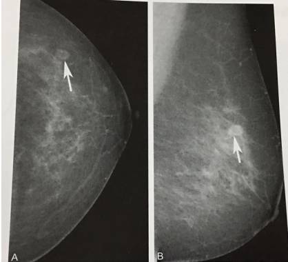 这些片子里的结构，你都认识吗？
