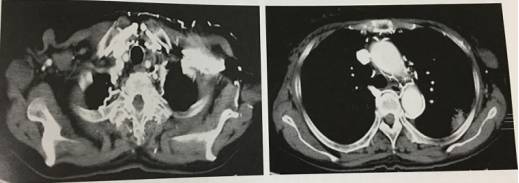 这些片子里的结构，你都认识吗？