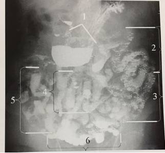 这些片子里的结构，你都认识吗？