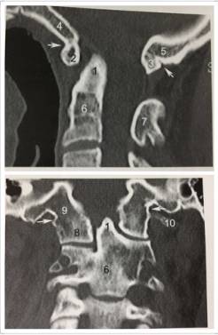 这些片子里的结构，你都认识吗？