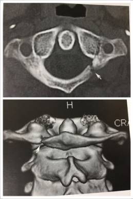 这些片子里的结构，你都认识吗？