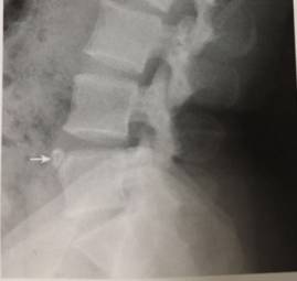 这些片子里的结构，你都认识吗？