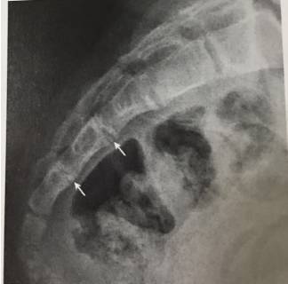 这些片子里的结构，你都认识吗？