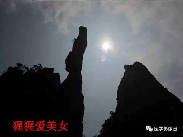 【PPT】鼻腔鼻窦肿瘤与肿瘤样病变的影像学诊断分析思路