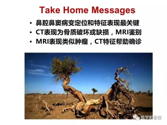 【PPT】鼻腔鼻窦肿瘤与肿瘤样病变的影像学诊断分析思路