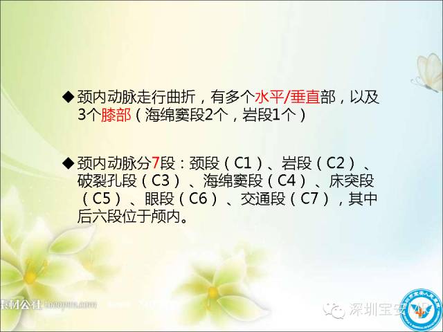 【PPT】颈内动脉颅内段影像解剖(附临床血管病例)