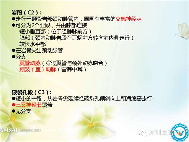 【PPT】颈内动脉颅内段影像解剖(附临床血管病例)
