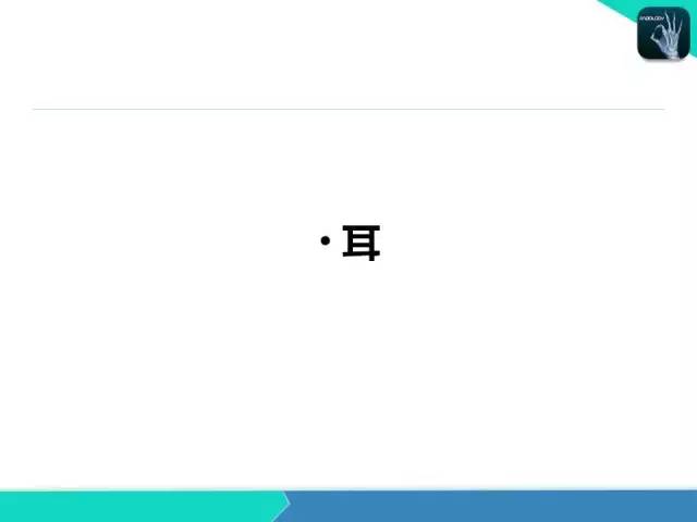 【PPT】头颈部CT诊断报告书写