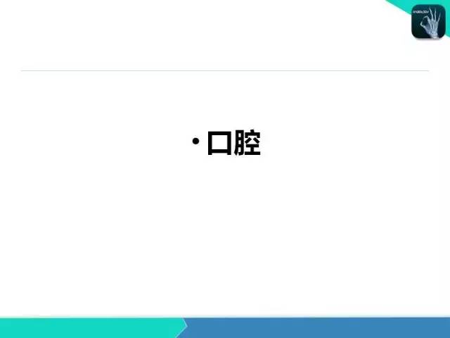 【PPT】头颈部CT诊断报告书写