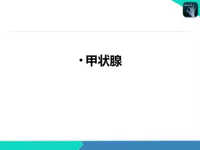 【PPT】头颈部CT诊断报告书写