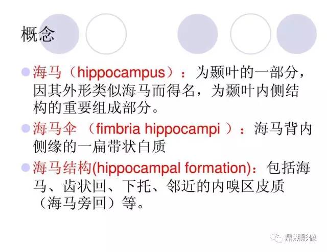 【PPT】海马硬化性颞叶癫痫的MRI探索研究