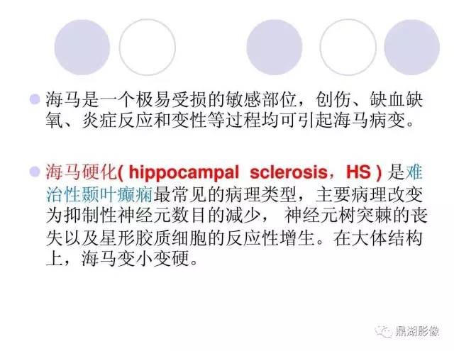 【PPT】海马硬化性颞叶癫痫的MRI探索研究