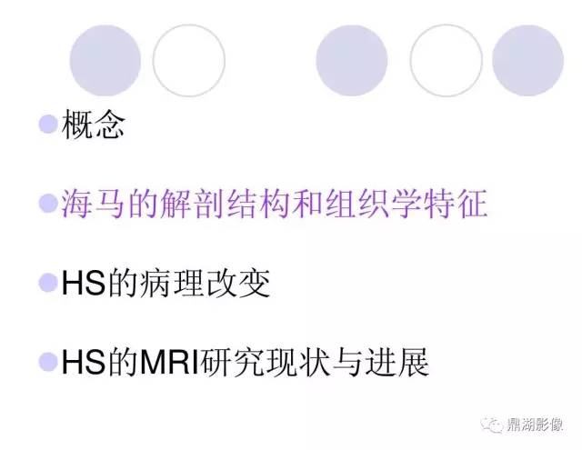 【PPT】海马硬化性颞叶癫痫的MRI探索研究