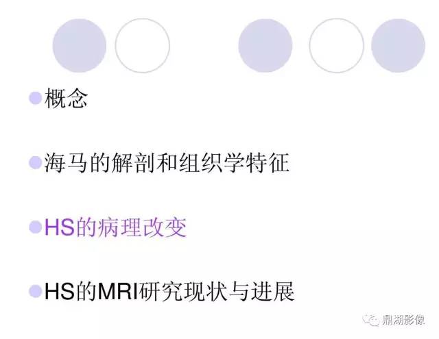 【PPT】海马硬化性颞叶癫痫的MRI探索研究