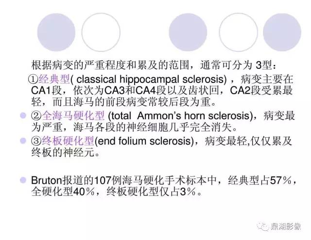 【PPT】海马硬化性颞叶癫痫的MRI探索研究
