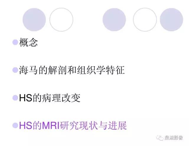 【PPT】海马硬化性颞叶癫痫的MRI探索研究