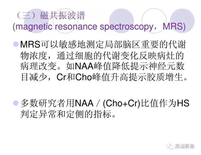 【PPT】海马硬化性颞叶癫痫的MRI探索研究