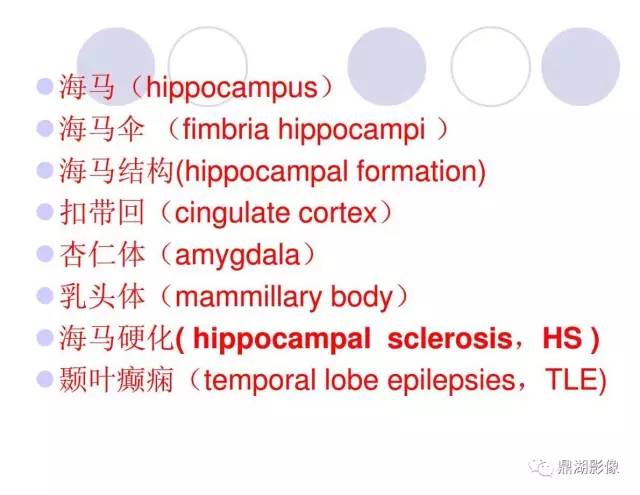 【PPT】海马硬化性颞叶癫痫的MRI探索研究