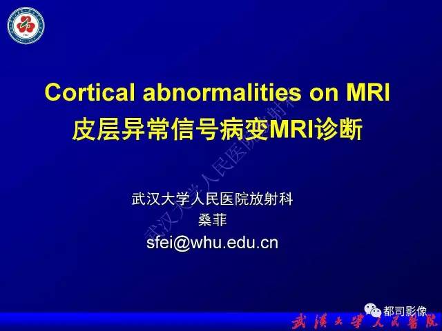 【PPT】皮层异常信号病变MRI诊断