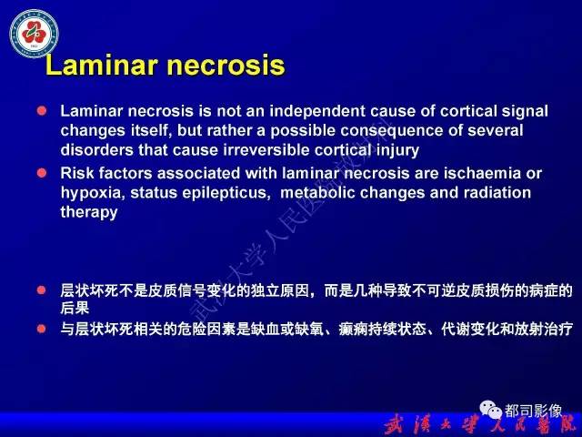 【PPT】皮层异常信号病变MRI诊断