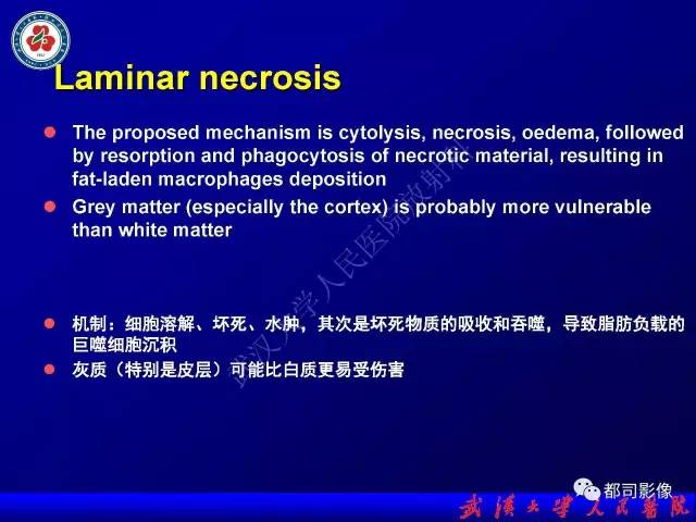 【PPT】皮层异常信号病变MRI诊断