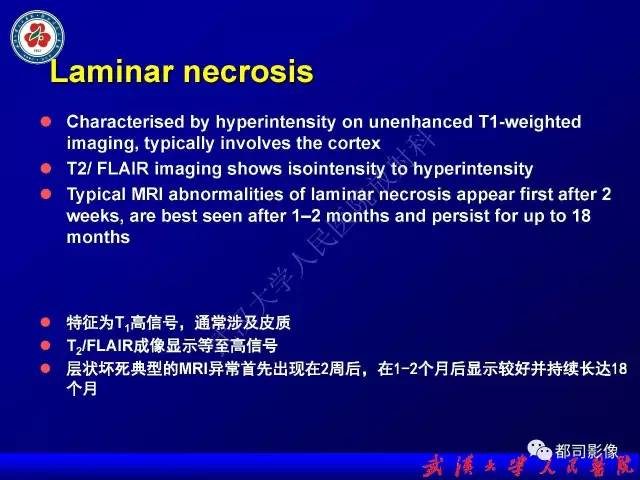 【PPT】皮层异常信号病变MRI诊断